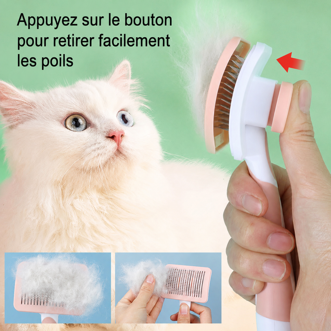 Bouton autonettoyant de la brosse PELYKO